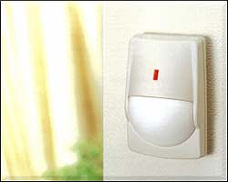 domestic burglar alarm
